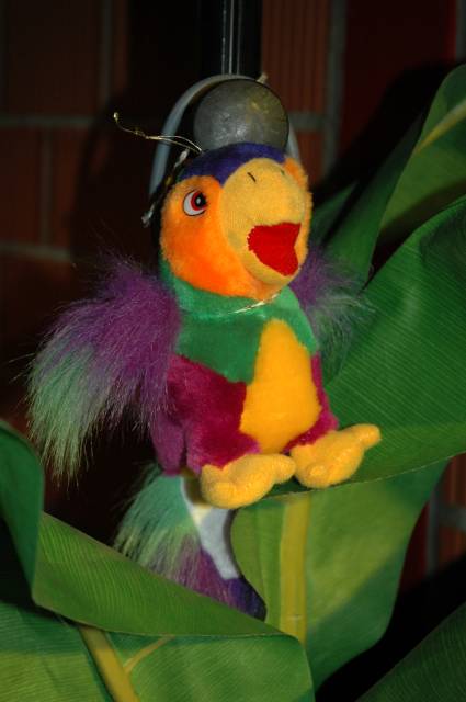 feclu_2006_463.jpg