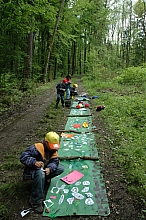 feclu_2006_221.jpg