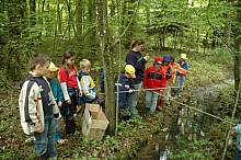 feclu_2006_224.jpg