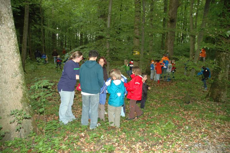Grosses Gel&auml;ndespiel im Wald