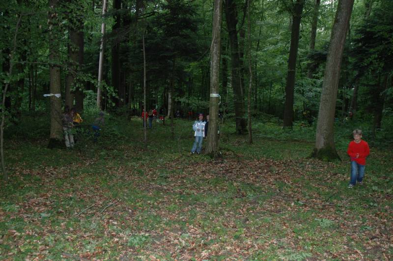 Im gr&uuml;nen Wald spielt sichs ganz gut