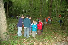 Grosses Gel&auml;ndespiel im Wald