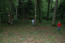 Im gr&uuml;nen Wald spielt sichs ganz gut