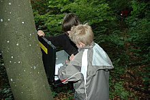 Auch hier werden Detektiv-Sets eingeladen