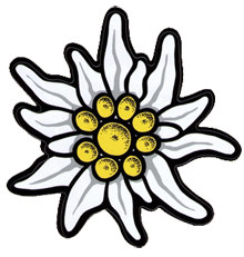 Edelweiss