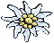 Edelweiss